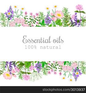 Popular essential oil plants label set. badge with text. Peppermint, lavender, sage, melissa, Rose, Geranium, Chamomile,. Popular essential oil plants label set. badge with text. Peppermint, lavender, sage, melissa, Rose, Geranium, Chamomile, oregano etc For cosmetics spa health care aromatherapy, advertising tag