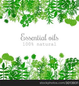 Popular essential oil plants label set in green. Flat. Popular essential oil plants label set. green silhouettes. Flat style. Peppermint, lavender, sage, melissa, Rose, Geranium, Chamomile, oregano For cosmetics spa health care aromatherapy advertising