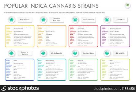 Popular Indica Cannabis Strains horizontal business infographic illustration about cannabis as herbal alternative medicine and chemical therapy, healthcare and medical science vector.