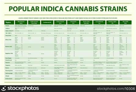 Popular Indica Cannabis Strains horizontal infographic illustration about cannabis as herbal alternative medicine and chemical therapy, healthcare and medical science vector.