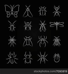Popular insects line icons set. Bug and beetle, bee and spider. Vector illustration. Popular insects line icons set