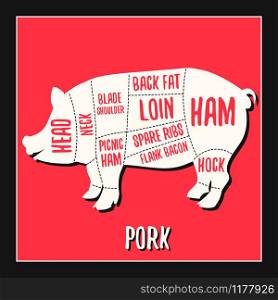 Pork meat cutting charts vector illustration for butchers shop guide. Label for farm design. Pork meat cutting charts vector illustration
