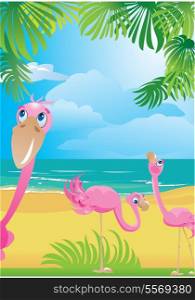 Portrait border with flamingos on beautiful tropical beach.