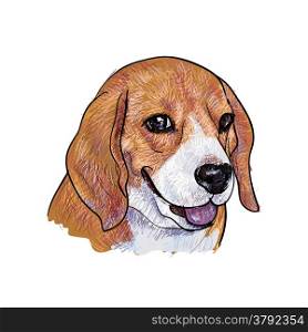 Portrait of adorable beagle on white background