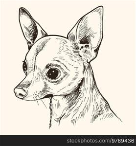 Portrait of cute small dog. Hand drawn vector illustration