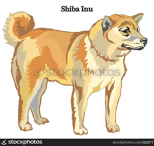 Portrait of standing in profile dog Shiba Inu vector colorful illustration isolated on white background