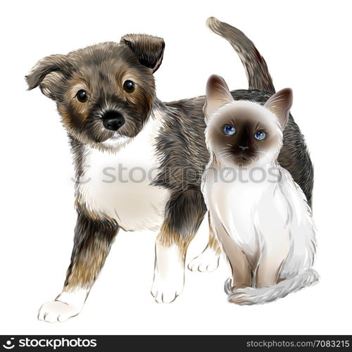 portrait of the cute puppy and thai kitten. Cat and dog are friends.