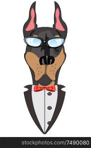 Portrait of the dog doberman in tuxedo on white background. Vector illustration of the mug of the dog in suit