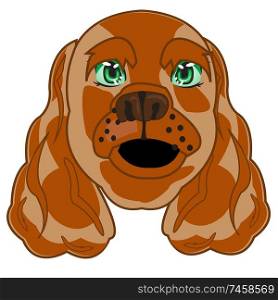 Portrait of the dog of the sort spaniel on white background is insulated. Vector illustration of the mug of the dog spaniel