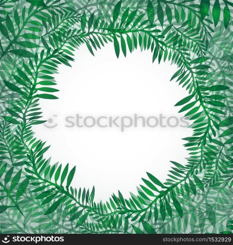 Postcard from green branches. Frame of fern for invitations, greeting cards, banners and your design. Postcard from green branches. Frame of fern