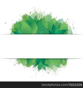 Postcard with green leaves, watercolor spray and place for text. Vector element for frames, invitations and your creativity. Postcard with green leaves, watercolor spray and place for text.