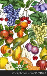 Poster/ card template. Garden fruits, colored hand drawn vector illustrations.