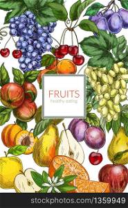 Poster/ card template. Garden fruits, colored hand drawn vector illustrations.