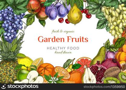 Poster/ card template. Garden fruits, colored hand drawn vector illustrations.