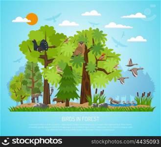 Poster Of Birds In Forest. Forest poster with different trees pond various birds and few animals on blue background flat vector illustration
