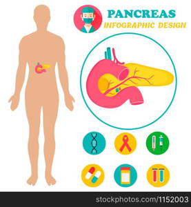 Poster with image of human body with pancreas. Infographic poster with pancreas and human body