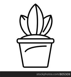 Pot plant icon. Outline pot plant vector icon for web design isolated on white background. Pot plant icon, outline style