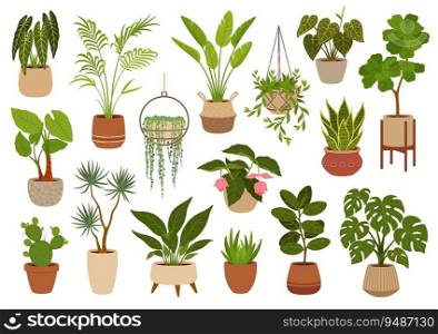 Pot with green plants, flowers and succulents. Office flowerpots. Cartoon vector indoor potted decorative houseplants. Palms monstera, cacti and ficus. Alocasia, sansevieria, strelitzia and agave. Pot with green plants, flowers and succulents