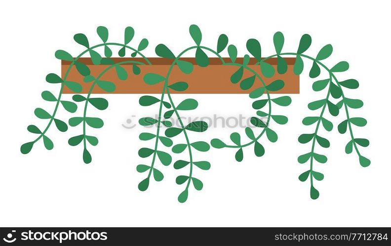 Pot with houseplant isolated at white background. Vector flowerpot of decorative green plant with long leaves in ceramic pot. Indoor plant concept of domestic greenery. Icon for home interior plant. Decorative green plant with long leaves in ceramic pot, pot with houseplant. Home interior plant