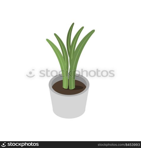 Pot with isometric plant