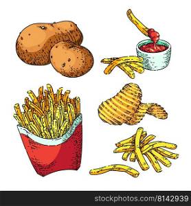potato food set hand drawn vector. farm vegetable, engraved plant, cooking chip, organic starch, sweet yam fresh slice potato food sketch. isolated color illustration. potato food set sketch hand drawn vector