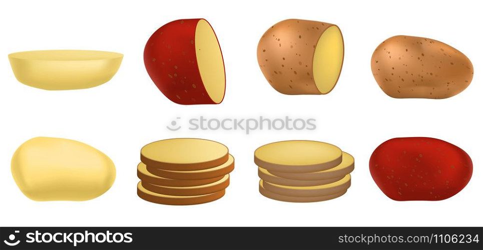 Potato icon set. Realistic set of potato vector icons for web design isolated on white background. Potato icon set, realistic style