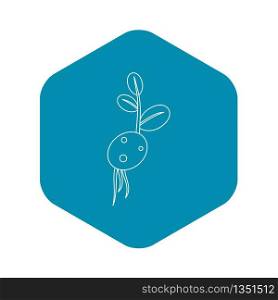 Potato seedicon. Outline illustration of potato seed vector icon for web. Potato seed icon, outline style