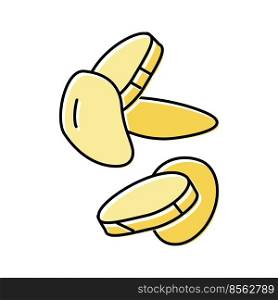 potato slice food cut color icon vector. potato slice food cut sign. isolated symbol illustration. potato slice food cut color icon vector illustration