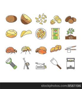 potato vegetable food raw fresh icons set vector. plant, cut slice, sweet, field harvest, agriculture healthy root, organic, top farm potato vegetable food raw fresh color line illustrations. potato vegetable food raw fresh icons set vector