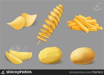 Potato vegetable food realistic design of vector potato chips, french fries and fried tornado swirls, boiled slices and baked wedges, peeled and raw tubes. Vegetable snack food design. Potato chips, fries and tornado, realistic food