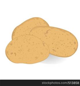 Potatoes vector illustration isolated on a white background