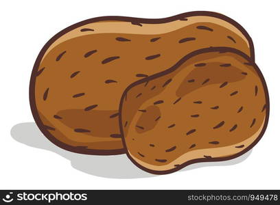 Potatos illustration vector on white background