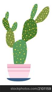 Potted cactus with big green pads. Cute house plant isolated on white background. Potted cactus with big green pads. Cute house plant