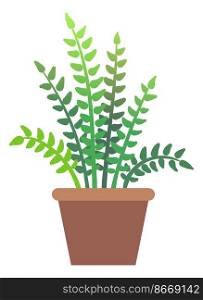 Potted fern. Urban jungle decoration. Green houseplant isolated on white background. Potted fern. Urban jungle decoration. Green houseplant