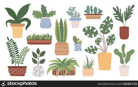 Potted hausplant set. Collection of succulents, cacti or green foliage plants growing in planters or flower pots. Vector illustration in flat style.. Potted hausplant set. Collection of succulents, cacti or green foliage plants growing in planters or flower pots. Vector illustration in flat style