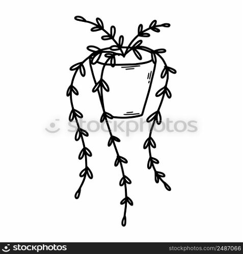 Potted houseplant. Flower with long branch. Home decor element. Vector doodle illustration.