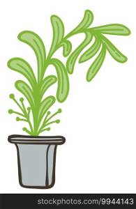 Potted houseplant with green leaves, tree like flower, interior design for home or office. Gardening and growth of botany, plastic pot with stem and foliage. Florist shop. Vector in flat style. Houseplant with lush leaves in pot, potted flora