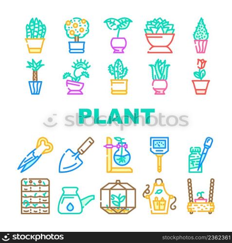 Potted Plant And Care Accessories Icons Set Vector. Sansevieria Trifasciata And Citrus Tree, Monstera Deliciosa And Buxus Sempervirens Potted Plant. Florarium Equipment Color Illustrations. Potted Plant And Care Accessories Icons Set Vector