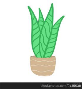Potted plant. Homemade Green leaves of houseplant. Gardening and botany. Brown pot and House decoration. Flat illustration. Potted plant. Homemade Green leaves