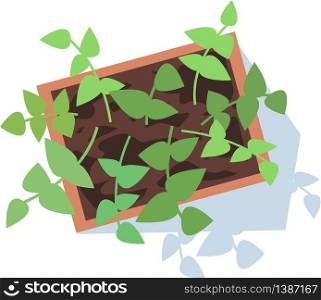 Potted plant semi flat RGB color vector illustration. Growing leaves on long stems. Harvesting crop. Decorative houseplant. Flowerpot isolated cartoon object top view on white background. Potted plant semi flat RGB color vector illustration