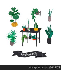 Potted plants collection. Urban jungle, trendy home decor with plants, cactus, tropical leaves. Set of house indoor plant vector hand drawn cartoon illustration. Potted plants collection. Urban jungle, trendy home decor with plants, cactus, tropical leaves. Set of house indoor plant vector hand drawn cartoon