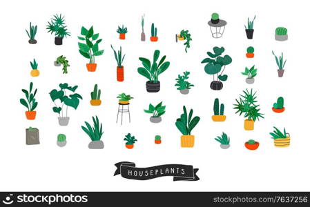 Potted plants collection. Urban jungle, trendy home decor with plants, cactus, tropical leaves. Set of house indoor plant vector hand drawn cartoon illustration. Potted plants collection. Urban jungle, trendy home decor with plants, cactus, tropical leaves. Set of house indoor plant vector hand drawn cartoon