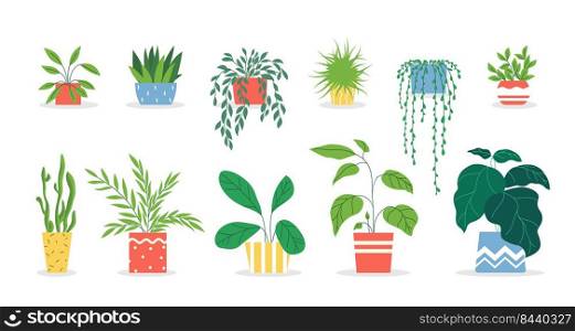 Potted plants set. Houseplants in colorful pots, succulent, home garden, indoor trees. Vector illustration for interior, botany, house decoration concept