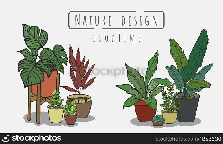 Potted plants Set, Indoor and outdoor landscape garden potted plants isolated on white, Vector set green plant in the pot.