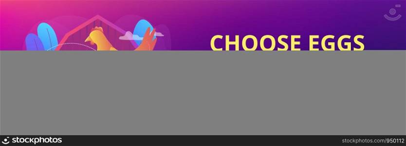 Poultry business, farming industry modern technology. Free run chicken and eggs, cage-free eggs, choose eggs from happy chickens concept. Header or footer banner template with copy space.. Free run chicken and eggs concept banner header.