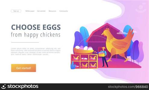 Poultry business, farming industry modern technology. Free run chicken and eggs, cage-free eggs, choose eggs from happy chickens concept. Bright vibrant violet vector isolated illustration. Free run chicken and eggs concept landing page.