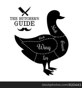 Poultry, game, duck meat cut lines diagram on the outline of a bird, butcher shop, market poster design, graphic black and white flat vector illustration. Poultry, duck meat cut lines diagram graphic poster, guide for b