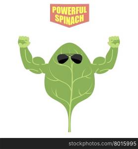 powerful spinach. A strong plant with big muscles. Green, fresh lettuce. Vector illustration&#xA;