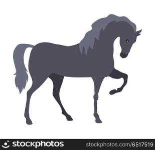 Prancing grey horse flat style vector. Domestic animal. Country inhabitants concept. Illustration for farming, animal husbandry, horse sport companies. Agricultural species. Isolated on white . Horse Vector Illustration in Flat Design. Horse Vector Illustration in Flat Design