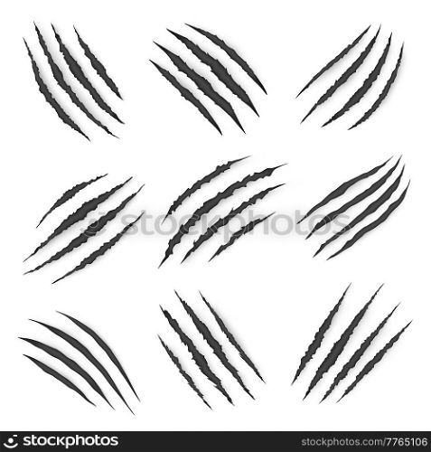 Predators, wild animal claw marks, vector scratches, nail rips, tiger, bear or cat paws sherds on white background. Lion, monster or beast break, four claws scratch traces, realistic 3d marks on paper. Predator, wild animal claw marks, vector scratches